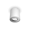 Philips verlichting Pillar Plafondlamp Wit, 1-licht