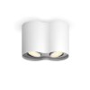 Philips verlichting Pillar Plafondlamp Wit, 1-licht
