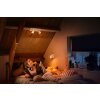 Philips verlichting Runner Plafondlamp Wit, 1-licht