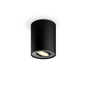 Philips verlichting Pillar Plafondlamp Zwart, 1-licht