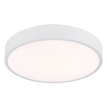 Globo Nielsen Plafondlamp LED Wit, 1-licht