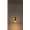 Globo Pelo Hanglamp LED Nikkel mat, 1-licht