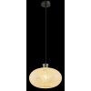 Globo Brokana Hanglamp Chroom, Zwart, 1-licht