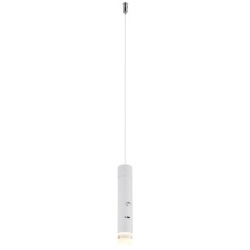 Globo Pelo Hanglamp LED Wit, 1-licht