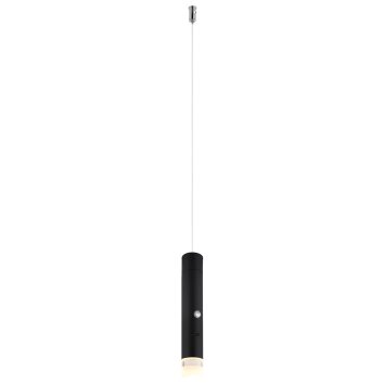 Globo Pelo Hanglamp LED Zwart, 1-licht