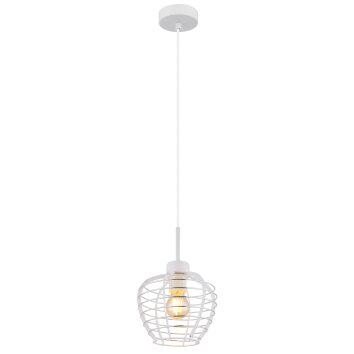 Globo Nesa Hanglamp Wit, 1-licht