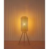 Globo Denton Staande lamp Cream, 1-licht
