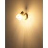 Globo Planta Wandlamp, Muurspot houtlook, Zandkleurig, 1-licht
