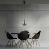 Paul Neuhaus Verlichting Infinity Hanglamp LED Grijs, 1-licht, Afstandsbediening
