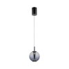 Paul Neuhaus Verlichting Infinity Hanglamp LED Grijs, 1-licht, Afstandsbediening