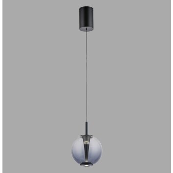 Paul Neuhaus Verlichting Infinity Hanglamp LED Grijs, 1-licht, Afstandsbediening