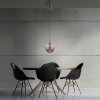 Paul Neuhaus Verlichting Infinity Hanglamp LED Brons, 1-licht, Afstandsbediening