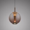 Paul Neuhaus Verlichting Infinity Hanglamp LED Brons, 1-licht, Afstandsbediening