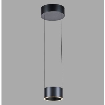 Paul Neuhaus Verlichting Clipse Hanglamp LED Grijs, 2-lichts, Afstandsbediening