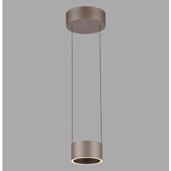 Paul Neuhaus Verlichting Clipse Hanglamp LED Brons, 2-lichts, Afstandsbediening