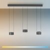 Paul Neuhaus Verlichting Clipse Hanglamp LED Grijs, 6-lichts, Afstandsbediening