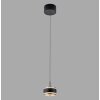 Paul Neuhaus Verlichting Rings Hanglamp LED Zwart, Transparant, Helder, 1-licht, Afstandsbediening