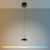 Paul Neuhaus Verlichting Rings Hanglamp LED Zwart, Transparant, Helder, 1-licht, Afstandsbediening