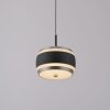 Paul Neuhaus Verlichting Rings Hanglamp LED Zwart, Transparant, Helder, 1-licht, Afstandsbediening