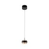 Paul Neuhaus Verlichting Rings Hanglamp LED Zwart, Transparant, Helder, 1-licht, Afstandsbediening