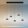 Paul Neuhaus Verlichting Rings Hanglamp LED Zwart, Transparant, Helder, 5-lichts, Afstandsbediening