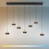 Paul Neuhaus Verlichting Rings Hanglamp LED Zwart, Transparant, Helder, 7-lichts, Afstandsbediening