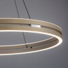 Paul Neuhaus Verlichting E-Loop Hanglamp LED Brons, 2-lichts, Afstandsbediening