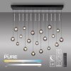 Paul Neuhaus Verlichting Popup Hanglamp LED Grijs, 19-lichts, Afstandsbediening