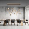 Paul Neuhaus Verlichting Popup Hanglamp LED Brons, 19-lichts, Afstandsbediening