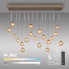 Paul Neuhaus Verlichting Popup Hanglamp LED Brons, 19-lichts, Afstandsbediening