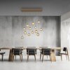 Paul Neuhaus Verlichting Popup Hanglamp LED Brons, 13-lichts, Afstandsbediening