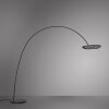 Paul Neuhaus Verlichting Loop-Bow Staande lamp LED Zwart, 2-lichts