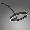 Paul Neuhaus Verlichting Loop-Bow Staande lamp LED Zwart, 2-lichts