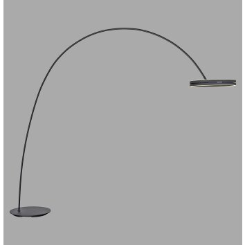 Paul Neuhaus Verlichting Loop-Bow Staande lamp, Booglampen LED Zwart, 2-lichts