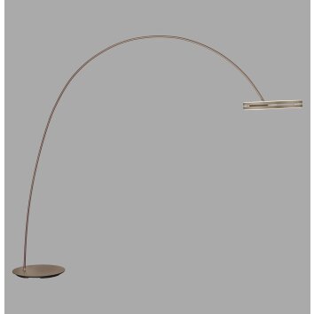 Paul Neuhaus Verlichting Loop-Bow Staande lamp LED Brons, 2-lichts