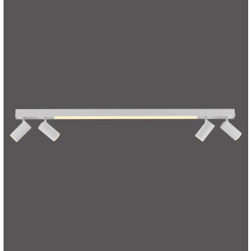 Paul Neuhaus Verlichting Spot Plafondlamp, Plafondspot LED Wit, 5-lichts, Afstandsbediening