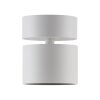 Paul Neuhaus Verlichting Cup Plafondlamp LED Wit, 1-licht