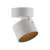 Paul Neuhaus Verlichting Cup Plafondlamp LED Wit, 1-licht