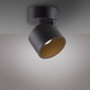 Paul Neuhaus Verlichting Cup Plafondlamp LED Zwart, 1-licht