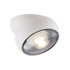 Paul Neuhaus Verlichting Move Plafondlamp LED Wit, 1-licht