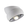 Paul Neuhaus Verlichting Move Plafondlamp LED Wit, 1-licht
