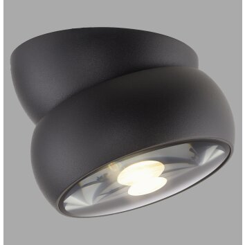 Paul Neuhaus Verlichting Move Plafondlamp LED Zwart, 1-licht