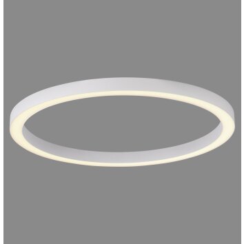 Paul Neuhaus Verlichting Round Plafondlamp LED Wit, 1-licht, Afstandsbediening