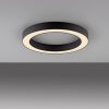 Paul Neuhaus Verlichting Round Plafondlamp LED Grijs, 1-licht, Afstandsbediening
