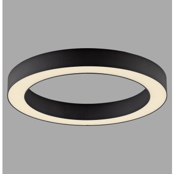 Paul Neuhaus Verlichting Round Plafondlamp LED Grijs, 1-licht, Afstandsbediening