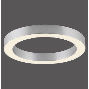 Paul Neuhaus Verlichting Round Plafondlamp LED Transparant, Helder, 1-licht, Afstandsbediening