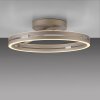 Paul Neuhaus Verlichting Loop Plafondlamp LED Brons, 2-lichts, Afstandsbediening