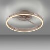 Paul Neuhaus Verlichting Loop Plafondlamp LED Brons, 2-lichts, Afstandsbediening