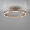 Paul Neuhaus Verlichting Loop Plafondlamp LED Brons, 2-lichts, Afstandsbediening