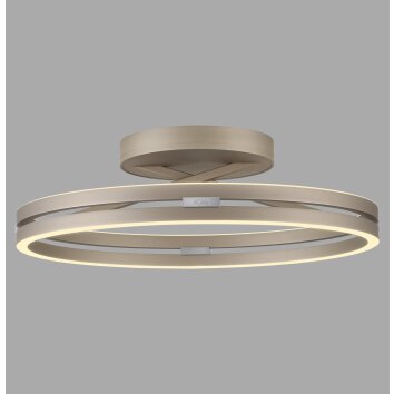 Paul Neuhaus Verlichting Loop Plafondlamp LED Brons, 2-lichts, Afstandsbediening